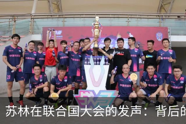 苏林在联合国大会的发声：背后的身份与情境解析